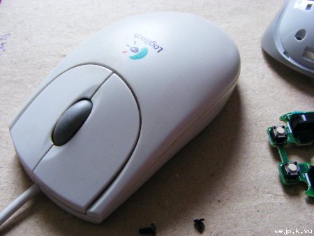 Old mouse